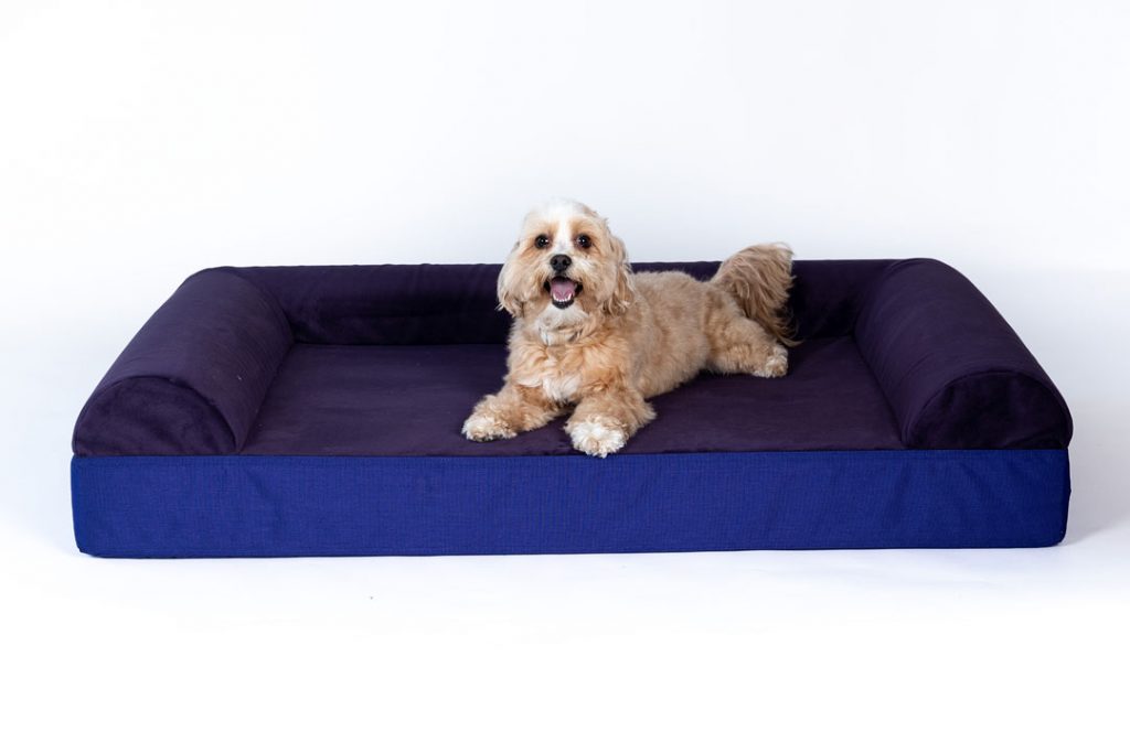 Ultra Vel Orthopedic Dog Couch Gorilla Dog Beds