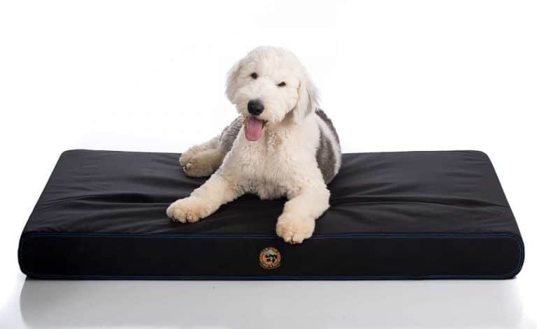 canine ballistic bed