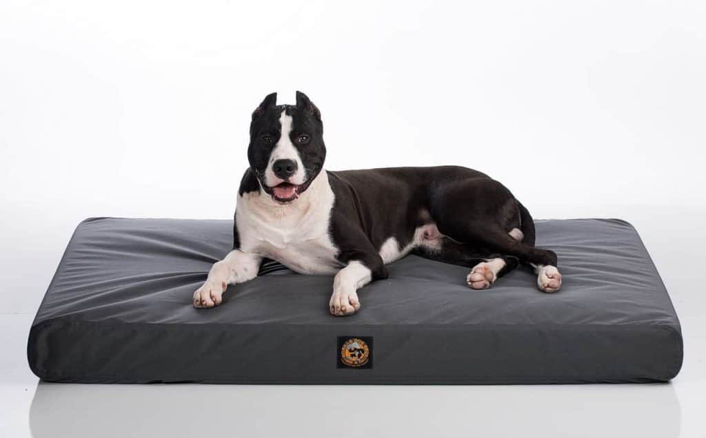 Gorilla Dog Beds® Tough Orthopedic Dog Bed | Gorilla Dog Beds®