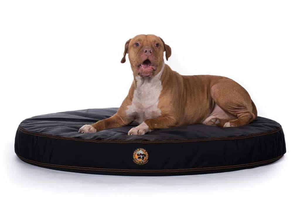 Chew Proof Ballistic Orthopedic Dog Bed Gorilla Dog Beds