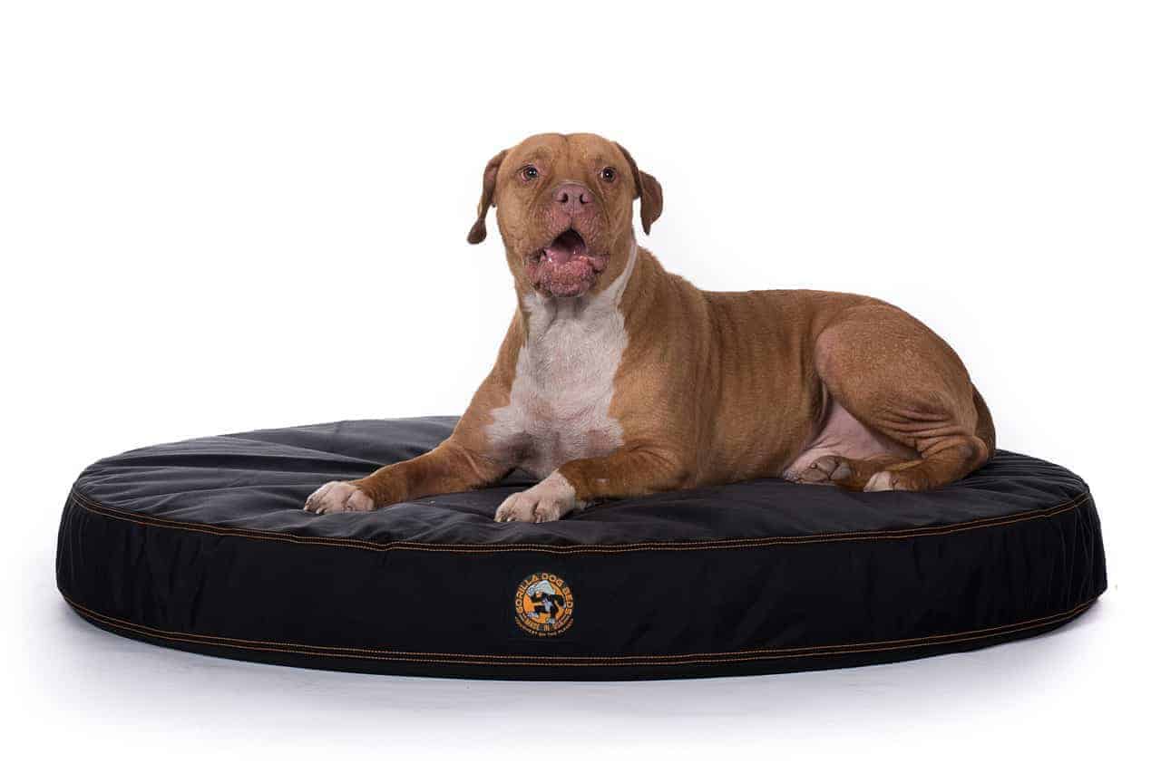 Chew Proof Ballistic Orthopedic Dog Bed Gorilla Dog Beds