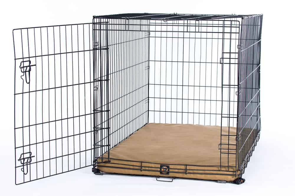 Dog Crate Pads