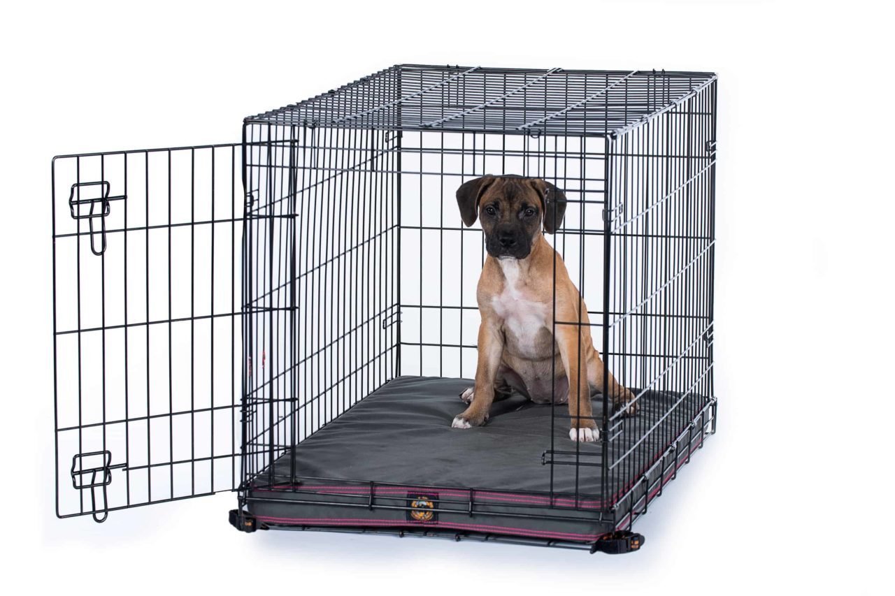 Chew-Resistant & Indestructible Dog Crate Pads