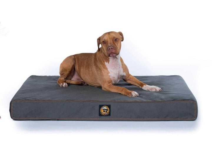 Gorilla Ballistic Tough Rectangular Orthopedic Dog Bed