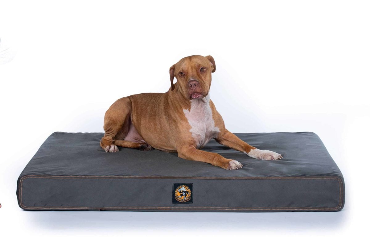 Ultra Vel Cordura Rectangular Orthopedic Dog Bed