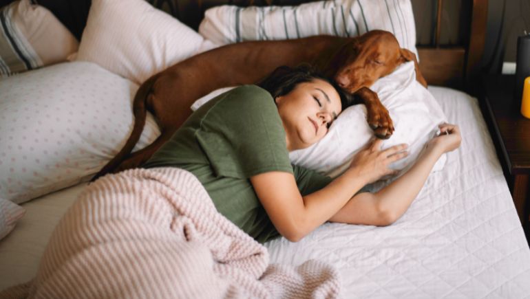 Why You Shouldn’t Let Your Dog Sleep in Bed With You