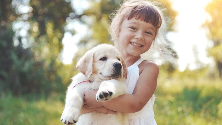 Tips for Taking Care of Your Puppy this Summer