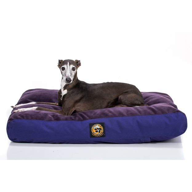 Orthopedic Dog Bed, Orthopedic Dog Beds, Orthopedic Dogs Bed