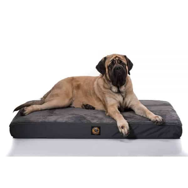 Plush Pup Orthopedic Bed Featuring Cordura® Gorilla Dog Beds®