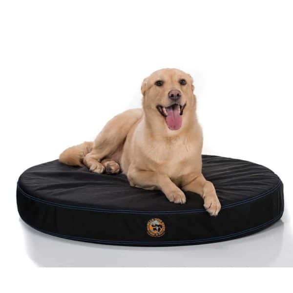 canine ballistic bed