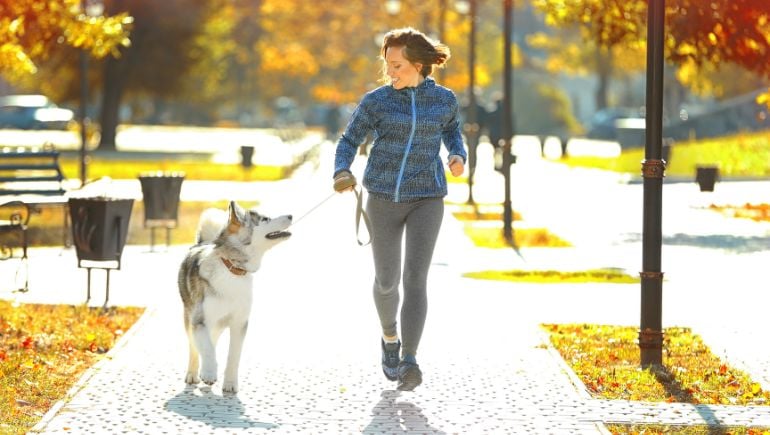 Why You Shouldn’t Pull Your Dog’s Leash on a Walk