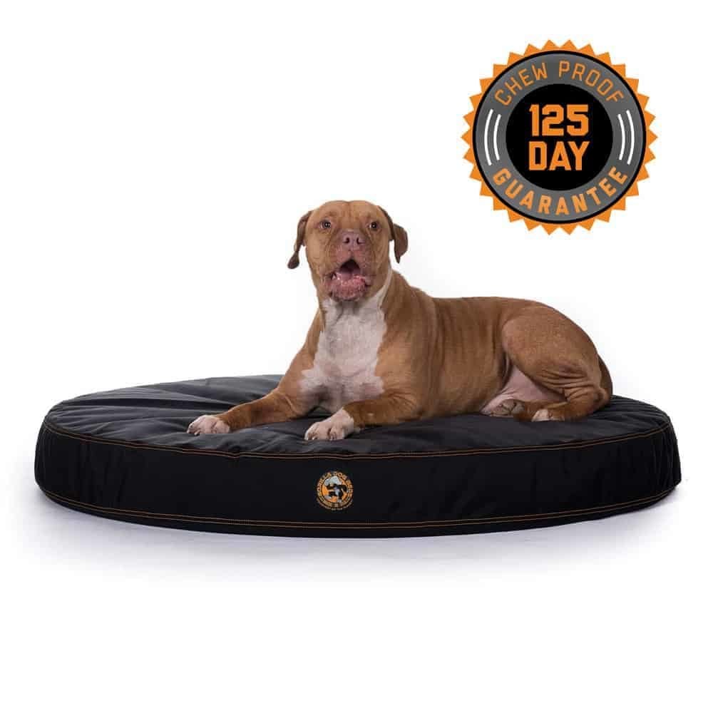 Large Chew Resistant Dog Bed Dog Beds for Dogs That Chew Perfect for Pet Up  to