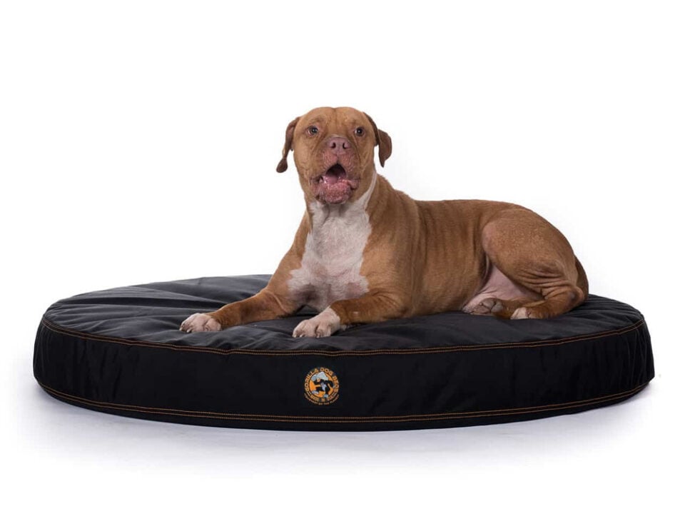 Order Your Custom Bed Chew Proof Dog Beds