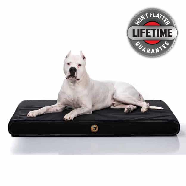 3 Reasons Dogs Chew Their Beds (and How To Stop It) Chew Proof Dog Beds