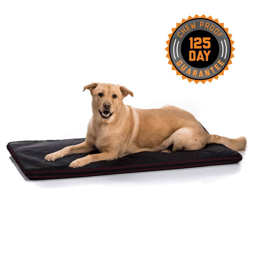 chew proof dog crate pad