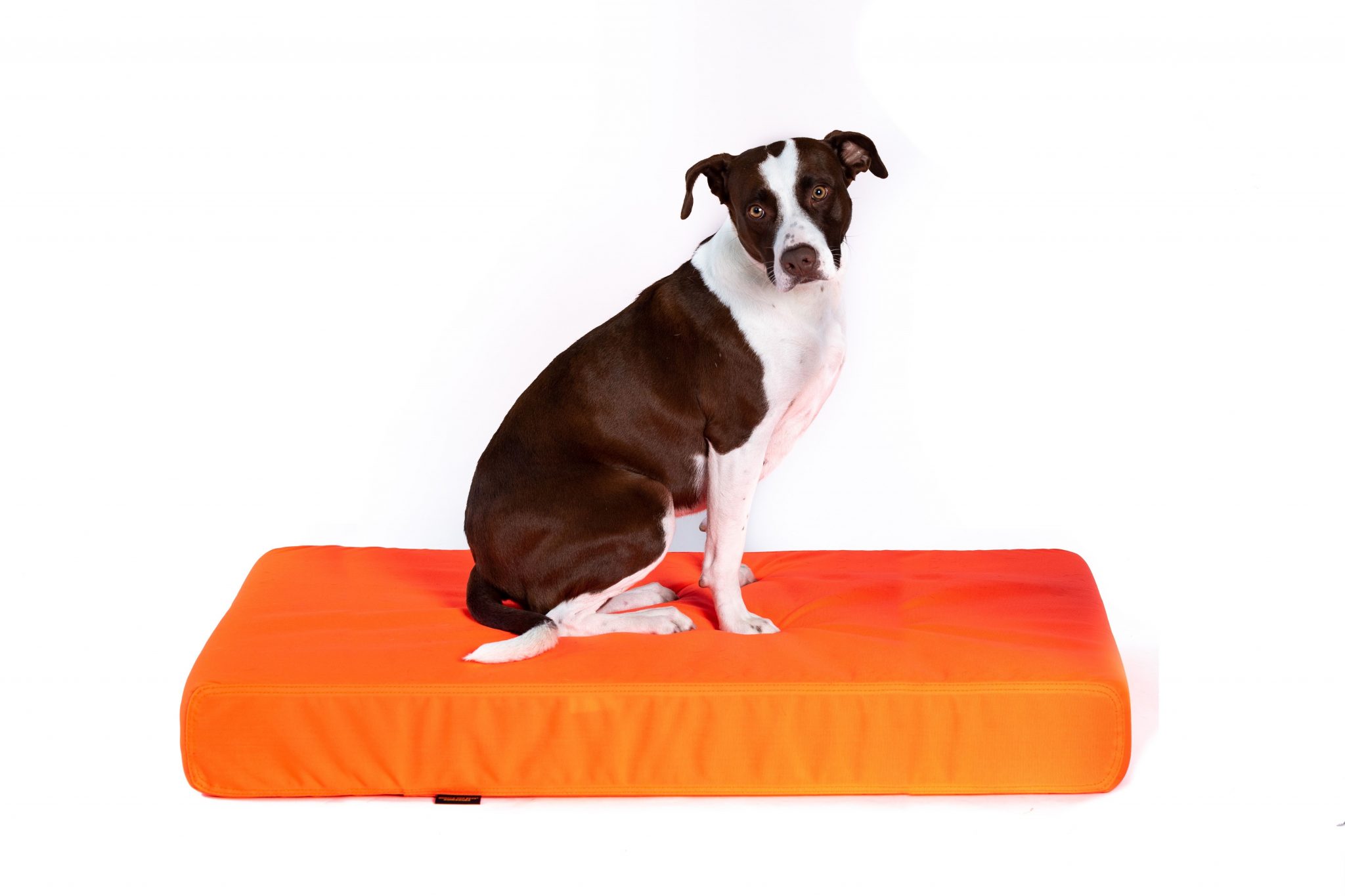 Gorilla Dog Beds® Tough Orthopedic Dog Bed Gorilla Dog Beds®