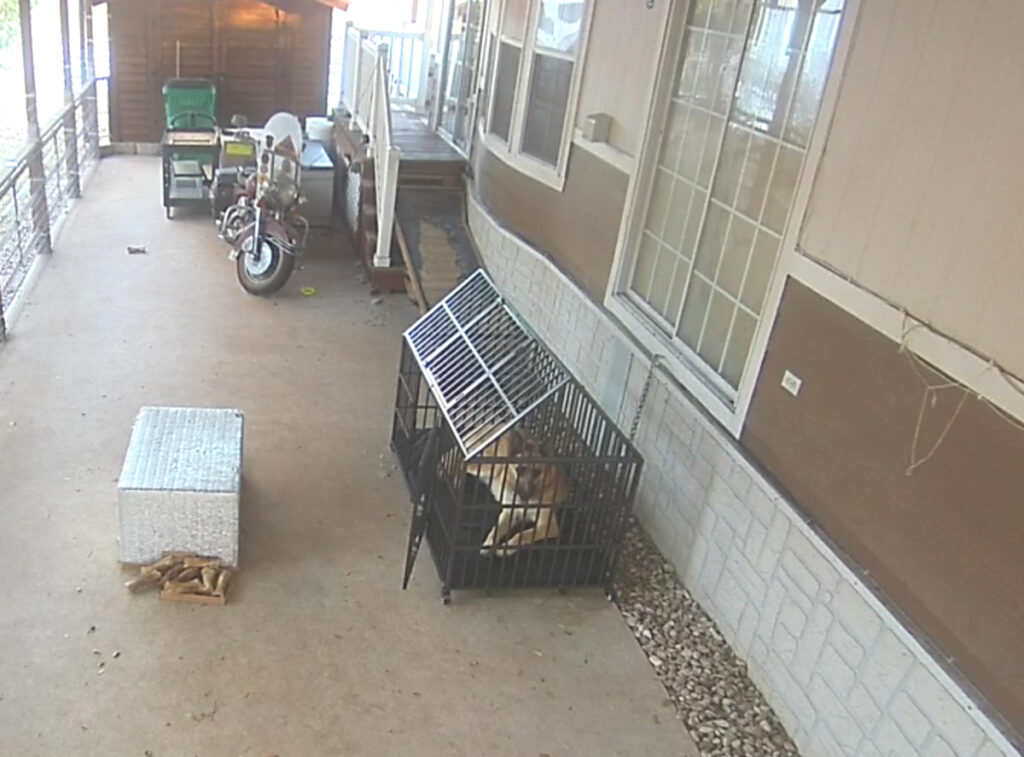 Image #1 from LoneStarHog