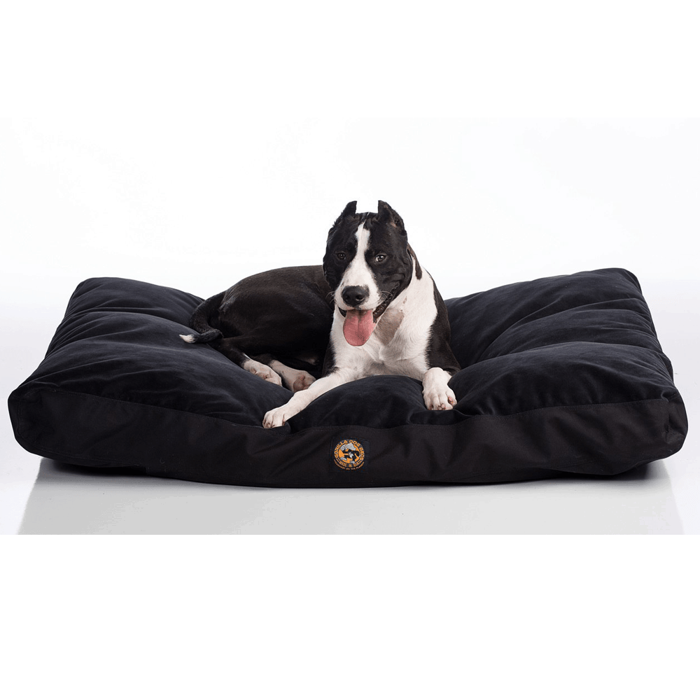 What to look for in a dog bed