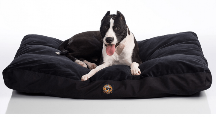 Chew Proof Dog Beds Indestructible, Waterproof Outdoor Dog Bed Canada