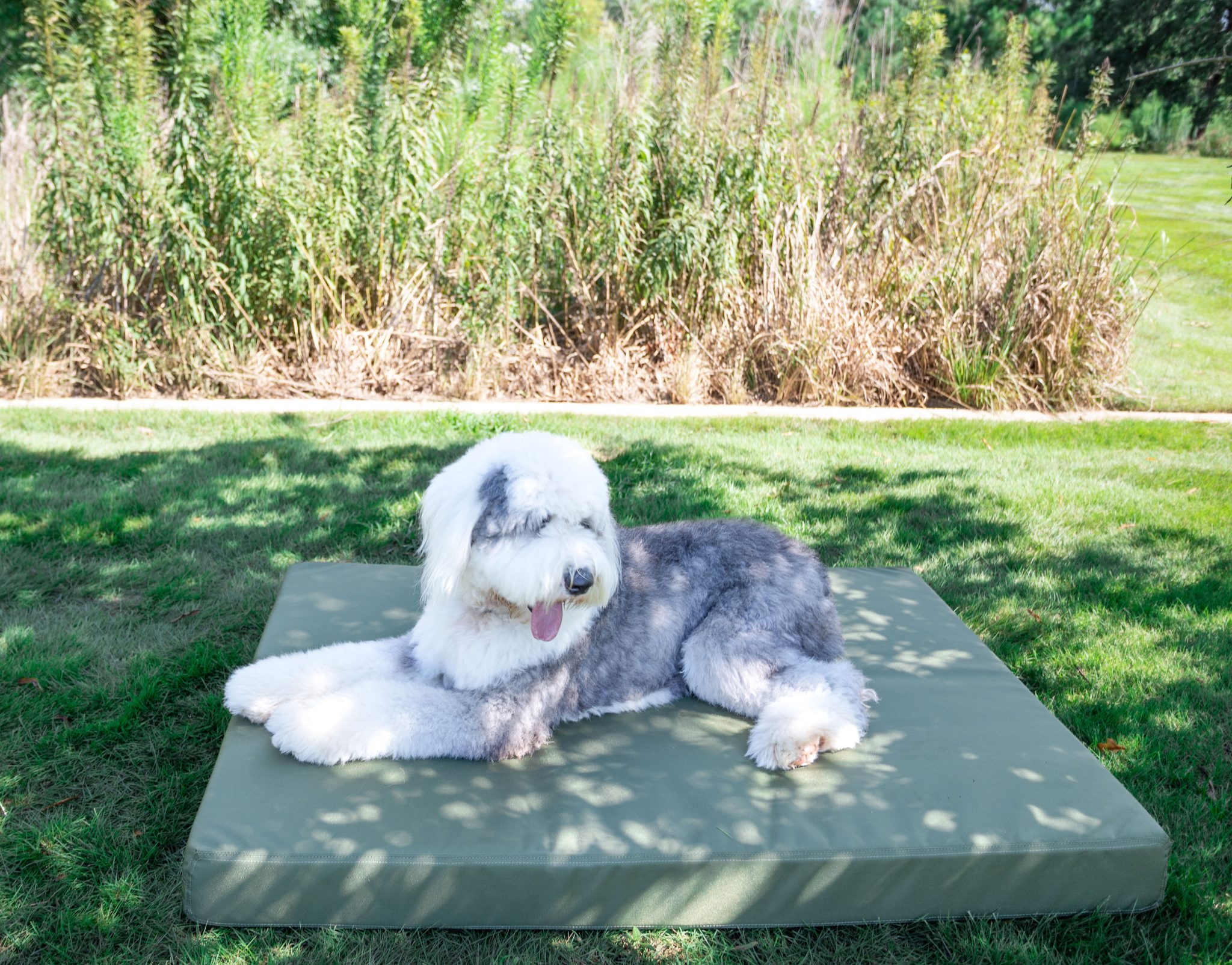 Solid Color Gorilla Ballistic Tough Rectangular Orthopedic Dog Bed™