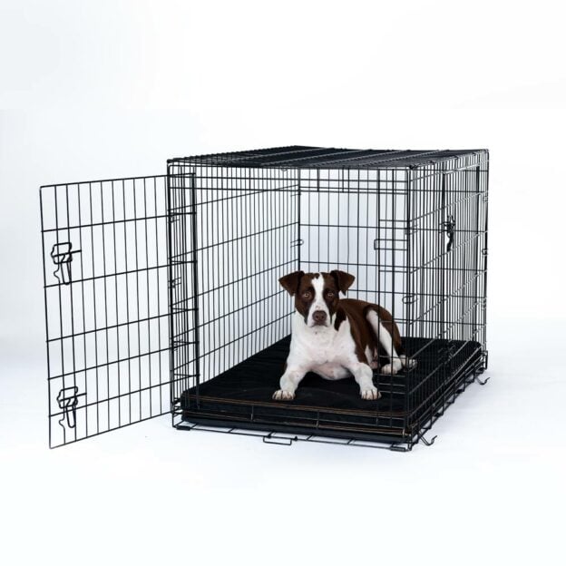 Gorilla Ballistic Tough Orthopedic Dog Crate Pad