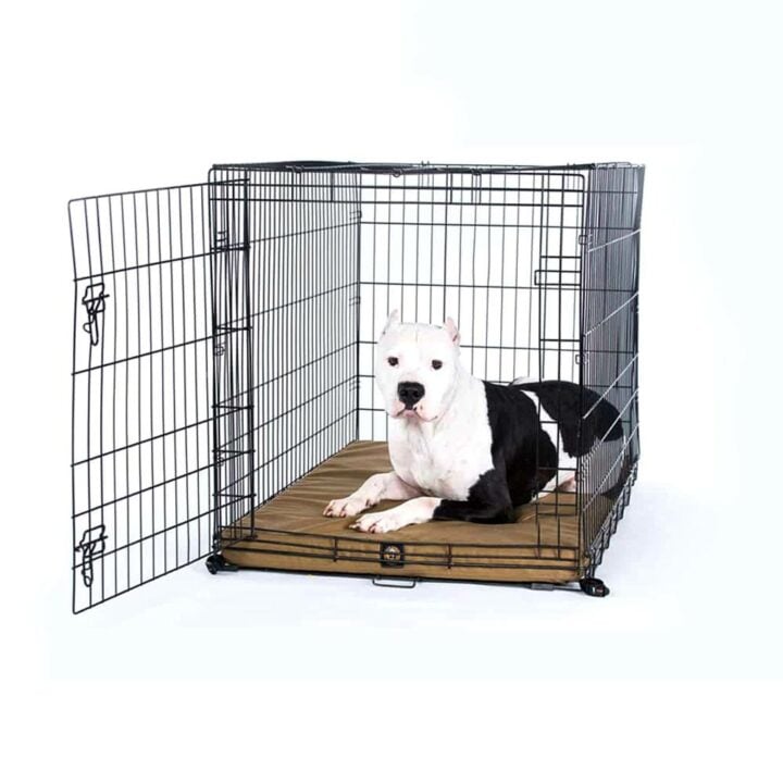 gorilla orthopedic dog crate bed