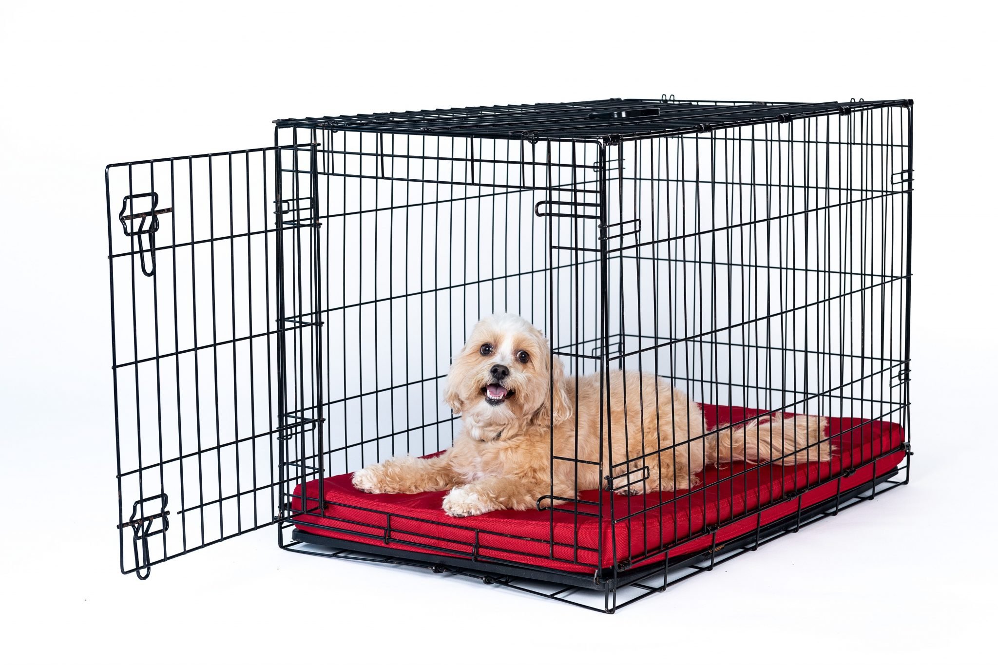 Solid Color Gorilla Ballistic Tough Orthopedic Dog Crate Pad™