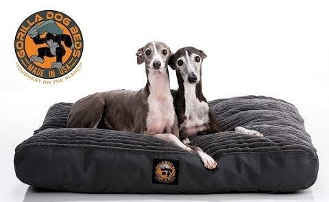 Chew Proof Dog Beds