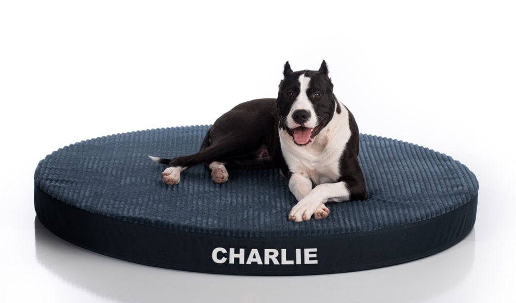 plush round dog bed