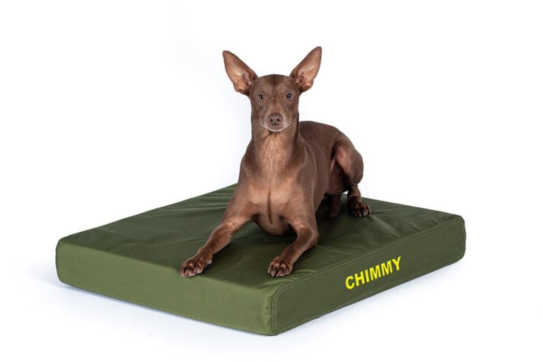 Solid Color Gorilla Ballistic Tough Rectangular Orthopedic Dog Bed™