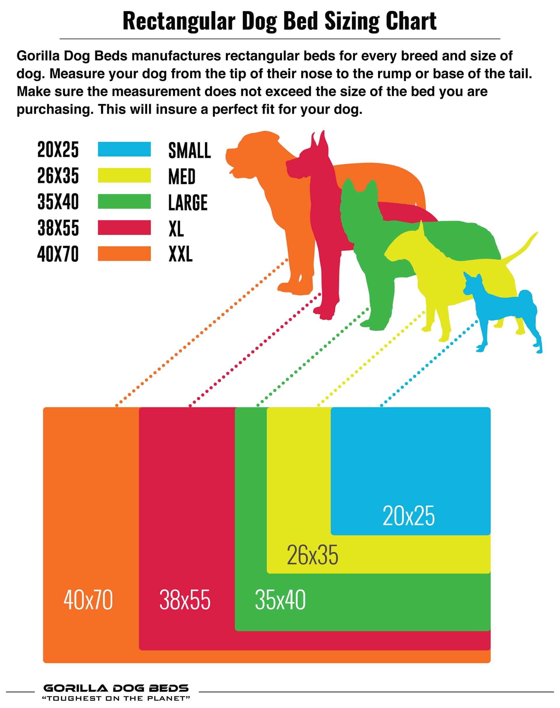 Dog bed size store guide