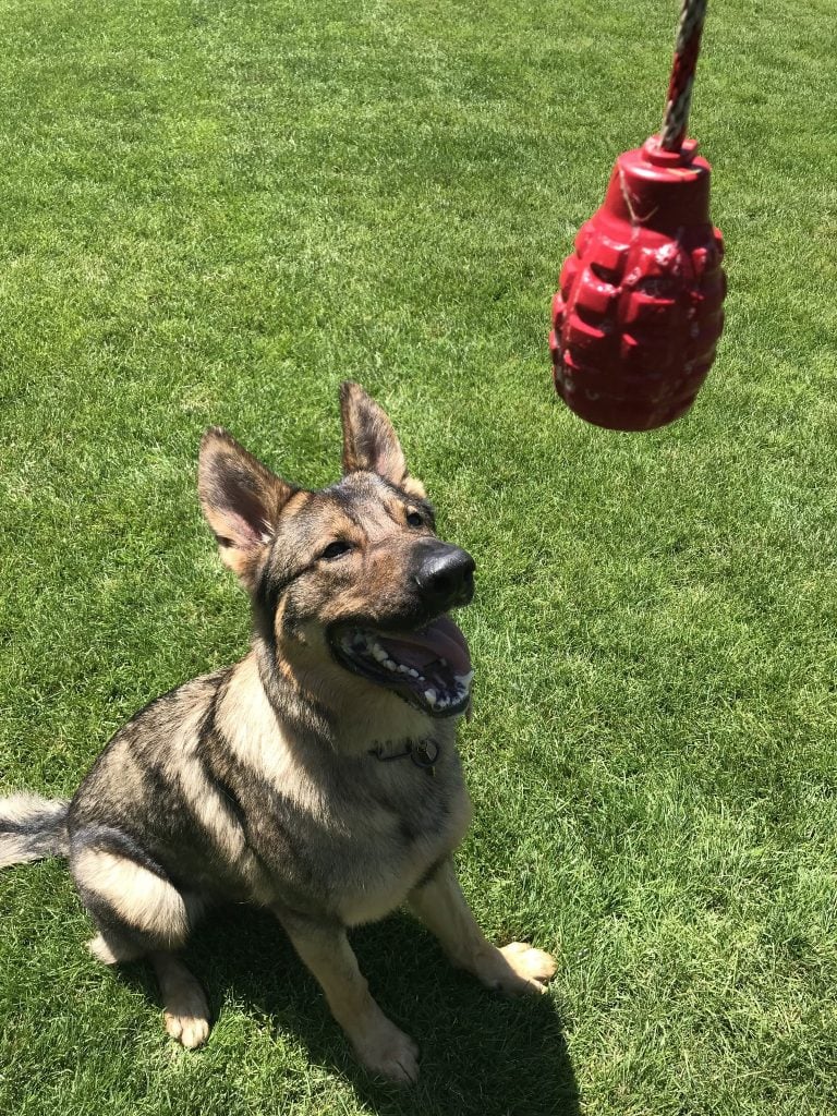 K9 Grenade Tough Reward Chew Toy | Extremely Tough Dog Toy