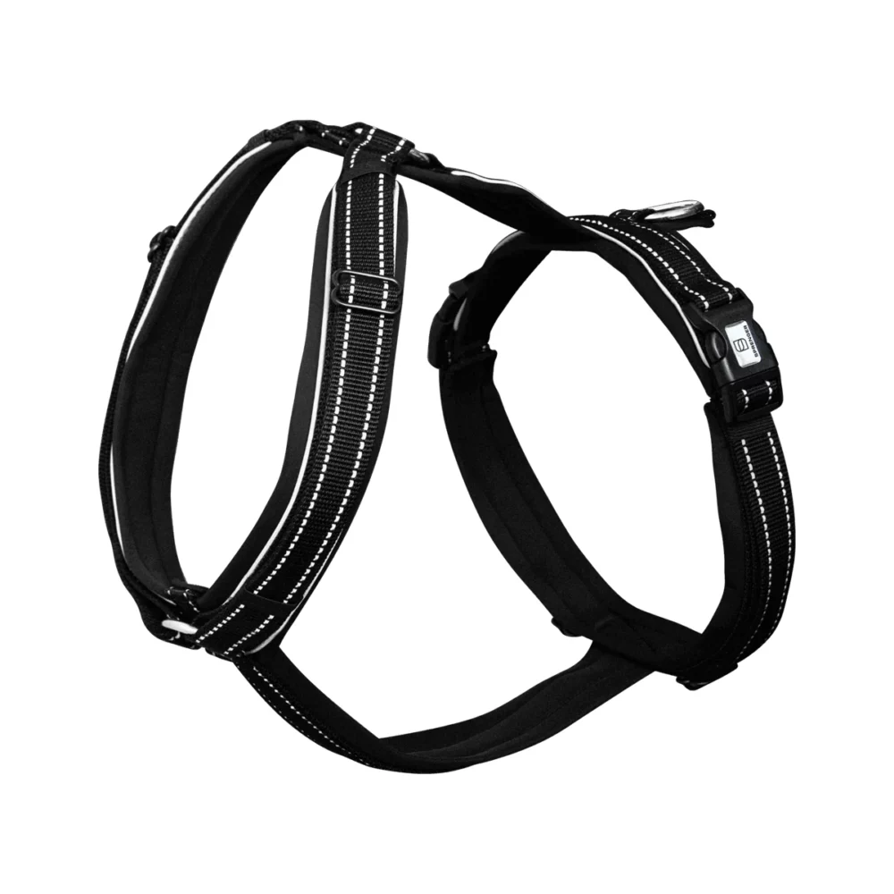 Reflective Y-Harness