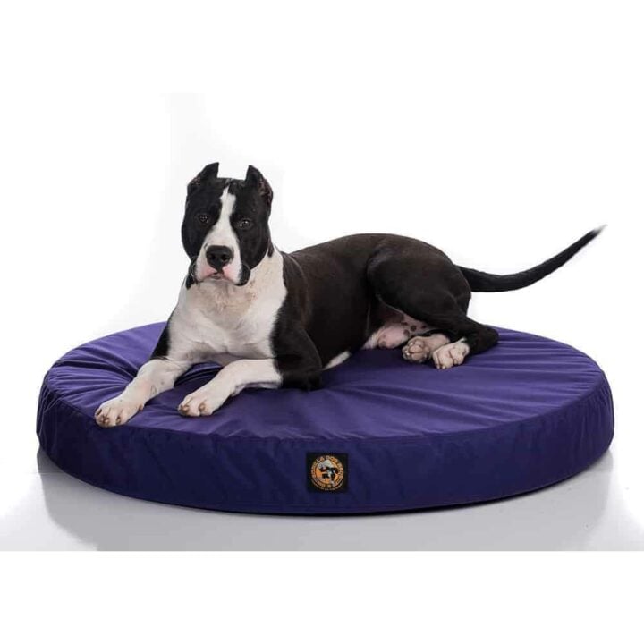 round orthopedic dog bed