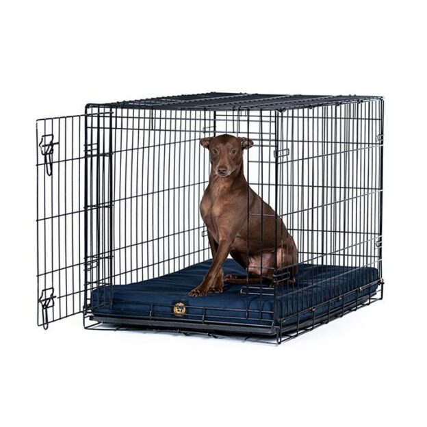 Curated visual reference: Orthopedic Dog Crate With Drain Reference: Solid Color Gorilla Ballistic Tough Orthopedic Dog Crate Pad