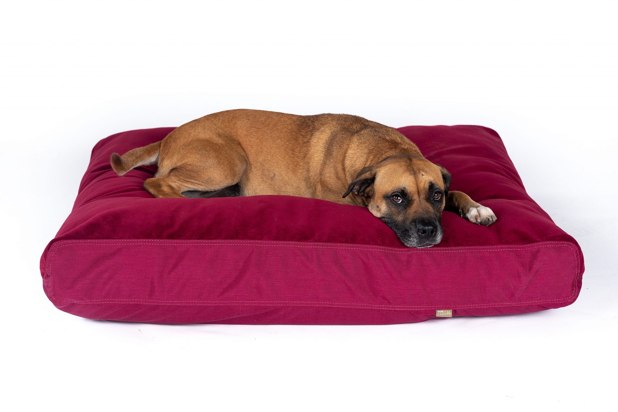 Rectangular Nesting Dog Bed Cordura Ultra Vel Gorilla Dog Beds®