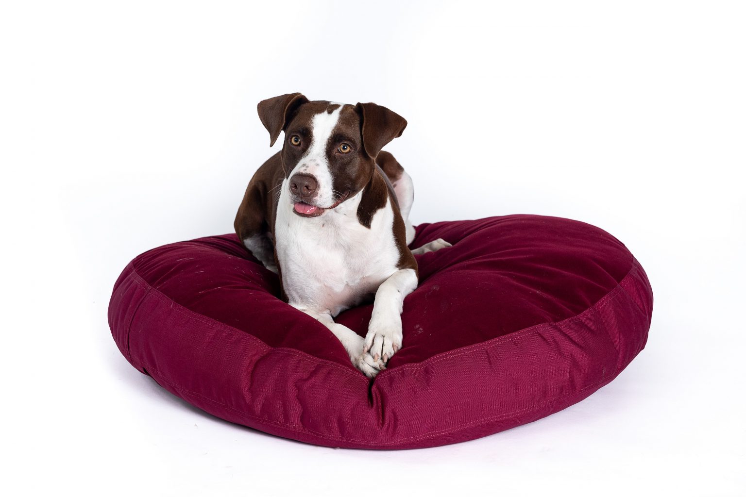 Luxury Nesting Dog Bed Made in the USA Gorilla Dog Beds®