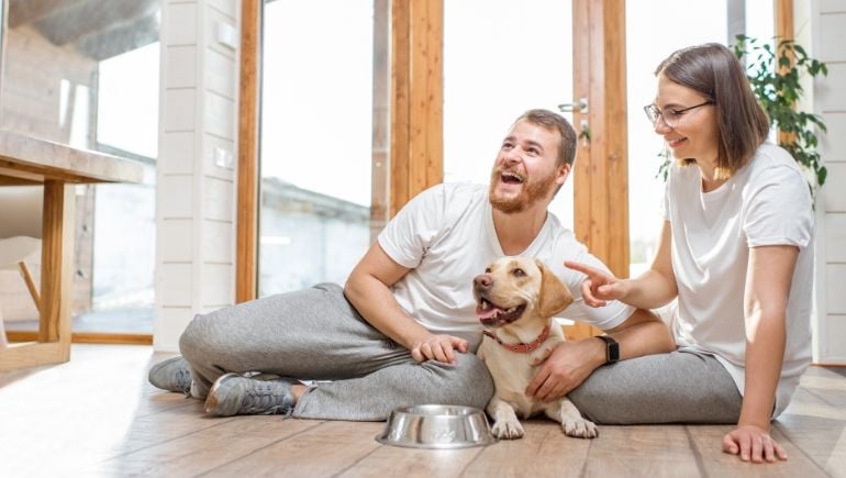 How Do You Prepare to Bring A New Dog Home